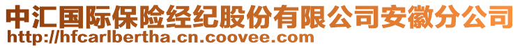 中匯國際保險經(jīng)紀股份有限公司安徽分公司