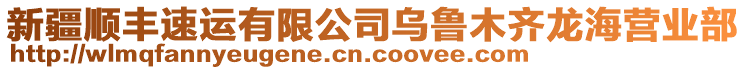 新疆順豐速運(yùn)有限公司烏魯木齊龍海營業(yè)部