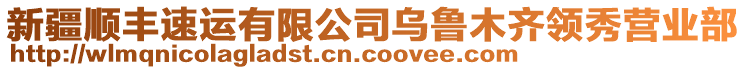 新疆順豐速運(yùn)有限公司烏魯木齊領(lǐng)秀營(yíng)業(yè)部