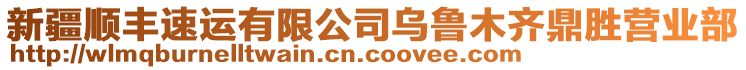 新疆順豐速運有限公司烏魯木齊鼎勝營業(yè)部