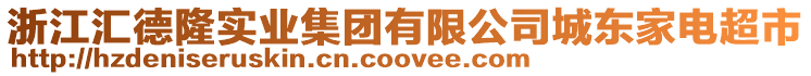 浙江匯德隆實(shí)業(yè)集團(tuán)有限公司城東家電超市