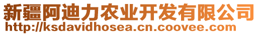 新疆阿迪力農(nóng)業(yè)開發(fā)有限公司