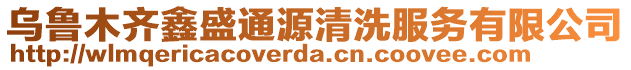 烏魯木齊鑫盛通源清洗服務(wù)有限公司