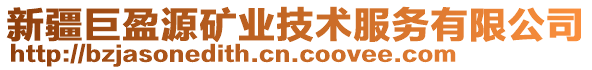 新疆巨盈源礦業技術服務有限公司