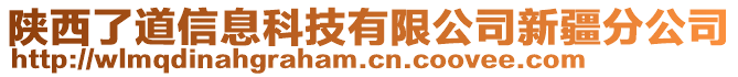 陜西了道信息科技有限公司新疆分公司