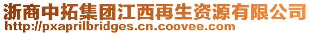 浙商中拓集團(tuán)江西再生資源有限公司