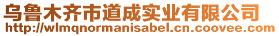 烏魯木齊市道成實業有限公司