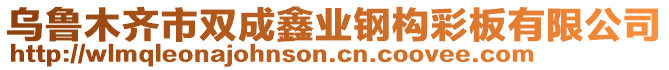 烏魯木齊市雙成鑫業(yè)鋼構(gòu)彩板有限公司