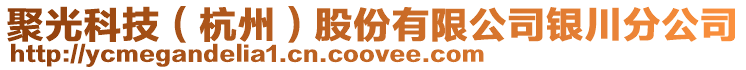 聚光科技（杭州）股份有限公司銀川分公司