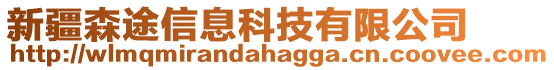 新疆森途信息科技有限公司