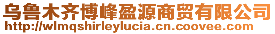 烏魯木齊博峰盈源商貿(mào)有限公司