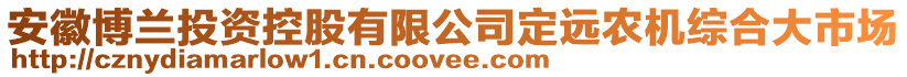 安徽博蘭投資控股有限公司定遠(yuǎn)農(nóng)機(jī)綜合大市場(chǎng)