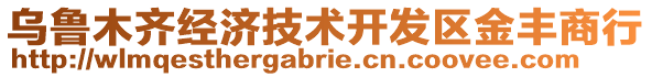 烏魯木齊經(jīng)濟技術(shù)開發(fā)區(qū)金豐商行