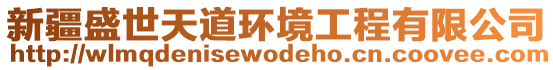 新疆盛世天道環境工程有限公司