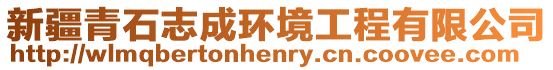 新疆青石志成環(huán)境工程有限公司