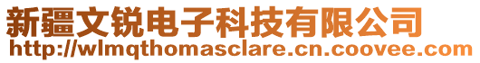 新疆文銳電子科技有限公司