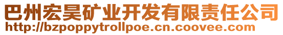 巴州宏昊礦業(yè)開發(fā)有限責(zé)任公司