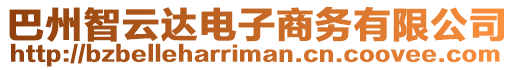 巴州智云達(dá)電子商務(wù)有限公司