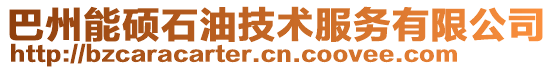巴州能碩石油技術(shù)服務(wù)有限公司