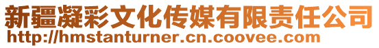 新疆凝彩文化傳媒有限責(zé)任公司