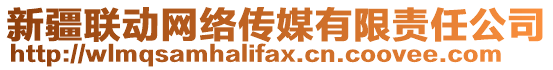 新疆聯(lián)動網(wǎng)絡傳媒有限責任公司