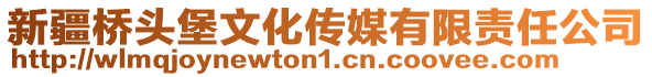 新疆橋頭堡文化傳媒有限責(zé)任公司