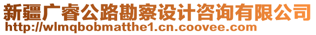 新疆廣睿公路勘察設(shè)計咨詢有限公司