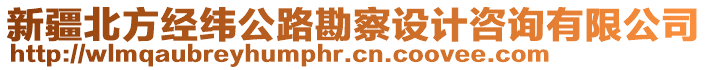 新疆北方經(jīng)緯公路勘察設計咨詢有限公司