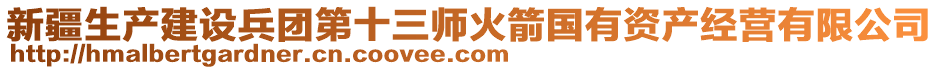 新疆生產(chǎn)建設(shè)兵團(tuán)第十三師火箭國(guó)有資產(chǎn)經(jīng)營(yíng)有限公司