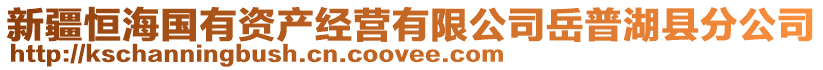 新疆恒海国有资产经营有限公司岳普湖县分公司