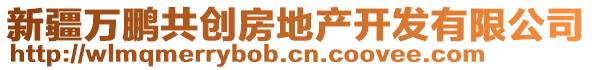 新疆萬鵬共創(chuàng)房地產(chǎn)開發(fā)有限公司