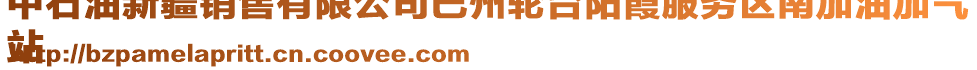 中石油新疆銷售有限公司巴州輪臺(tái)陽(yáng)霞服務(wù)區(qū)南加油加氣
站