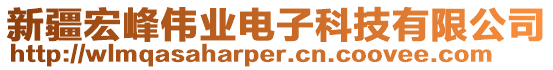 新疆宏峰偉業(yè)電子科技有限公司