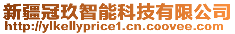 新疆冠玖智能科技有限公司