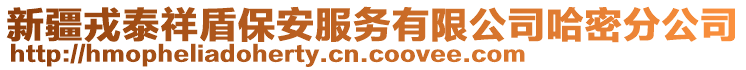新疆戎泰祥盾保安服務有限公司哈密分公司
