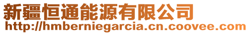 新疆恒通能源有限公司