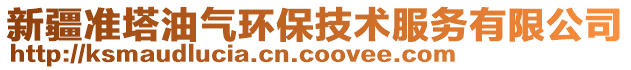 新疆準(zhǔn)塔油氣環(huán)保技術(shù)服務(wù)有限公司