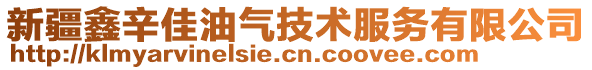 新疆鑫辛佳油氣技術(shù)服務(wù)有限公司