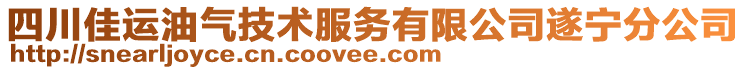 四川佳運(yùn)油氣技術(shù)服務(wù)有限公司遂寧分公司