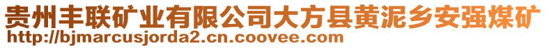 貴州豐聯(lián)礦業(yè)有限公司大方縣黃泥鄉(xiāng)安強煤礦