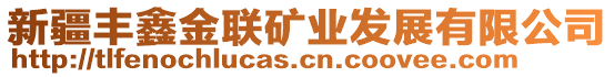 新疆豐鑫金聯(lián)礦業(yè)發(fā)展有限公司