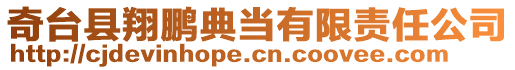 奇臺(tái)縣翔鵬典當(dāng)有限責(zé)任公司