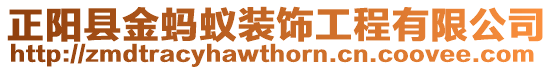 正陽縣金螞蟻裝飾工程有限公司