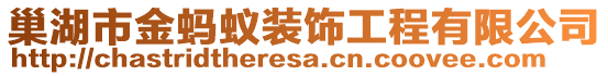 巢湖市金螞蟻裝飾工程有限公司