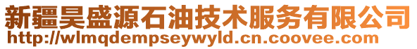 新疆昊盛源石油技術(shù)服務(wù)有限公司