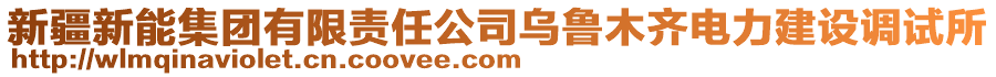 新疆新能集團有限責任公司烏魯木齊電力建設調(diào)試所