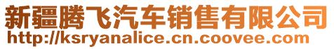 新疆騰飛汽車銷售有限公司