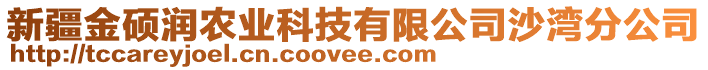 新疆金碩潤(rùn)農(nóng)業(yè)科技有限公司沙灣分公司