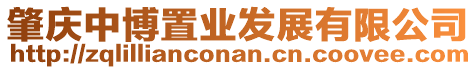 肇慶中博置業(yè)發(fā)展有限公司