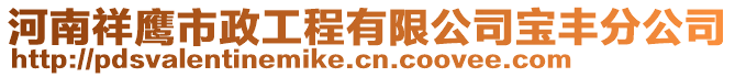 河南祥鷹市政工程有限公司寶豐分公司